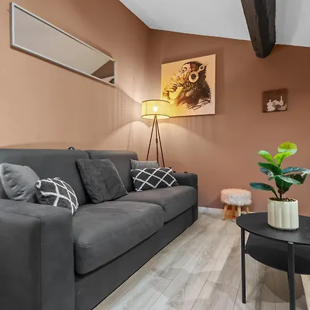 Modern Located In * Cannes