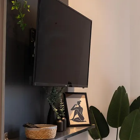 Modern Located In Apartment Cannes